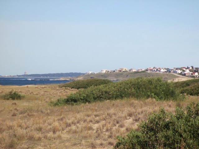 Terrenos en Punta Rubia T3146