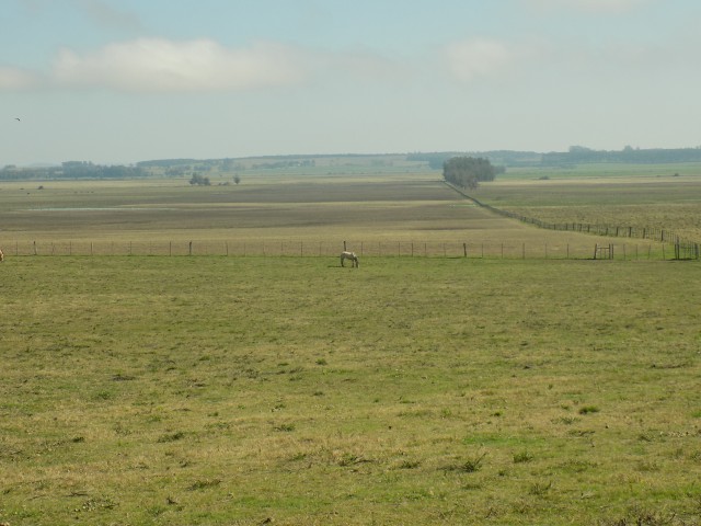 Chacras229_001