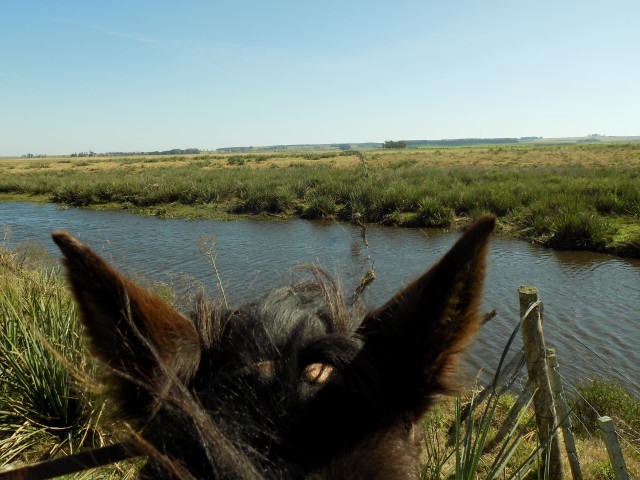 Chacras229_014