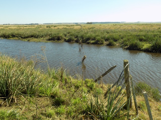 Chacras229_016