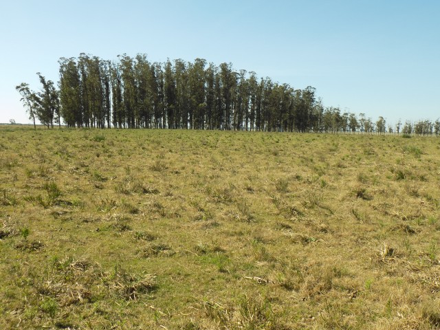 Chacras229_026