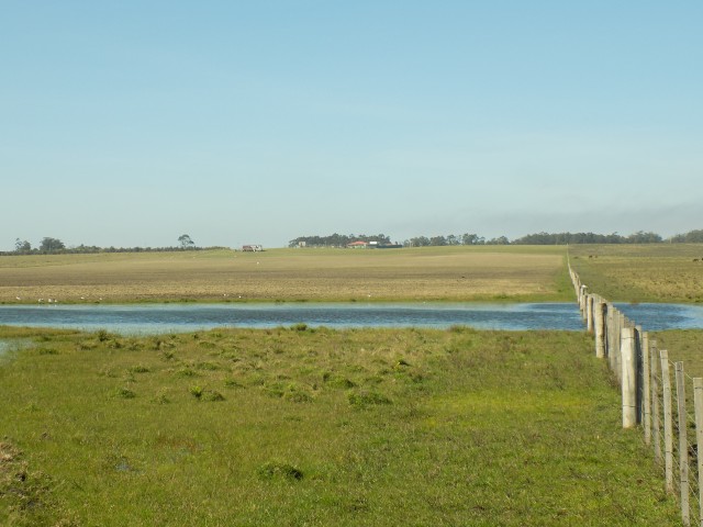 Chacras229_057