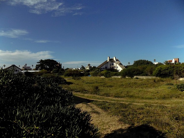 DSCN5874