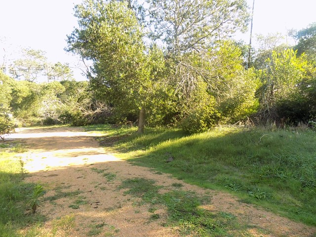 DSCN5933