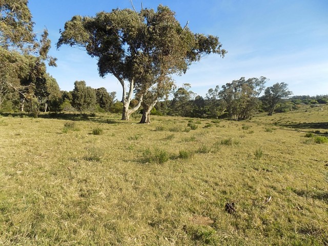 GRAN TERRENO EN PLAYA SERENA