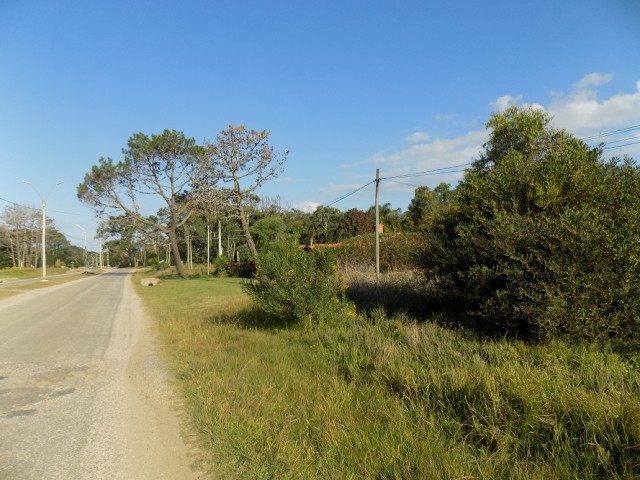 TERRENO EN PLAYA SOLARI