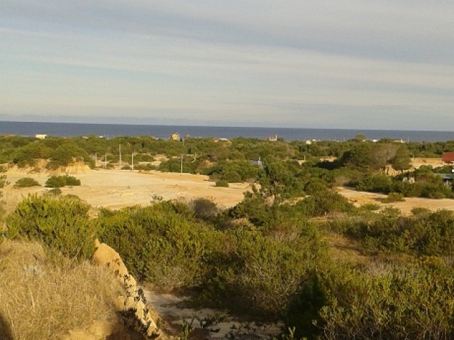 TERRENO EN PUNTA RUBIA